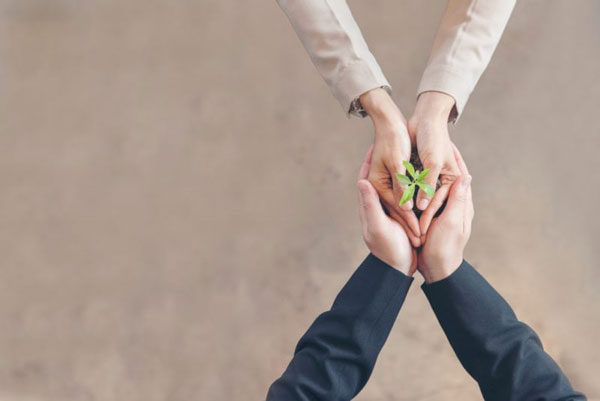 A professional man and woman hold a small sprout together in their hands