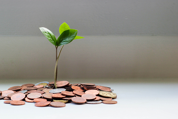 Money Coins Sprout Growth Wealth