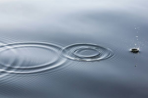 JFS Grief and Loss