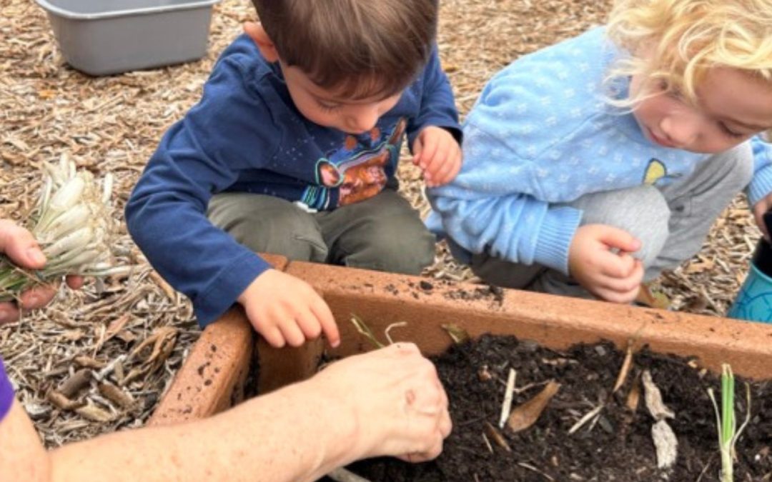ECP Children Bring Learning Outdoors into the Garden