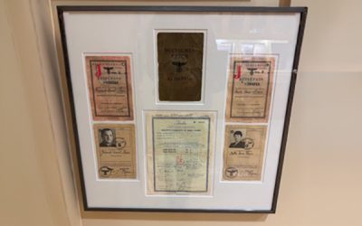 Roots & Legacy: Shalom Austin CEO Rachel Stern in Honor of Jewish American Heritage Month